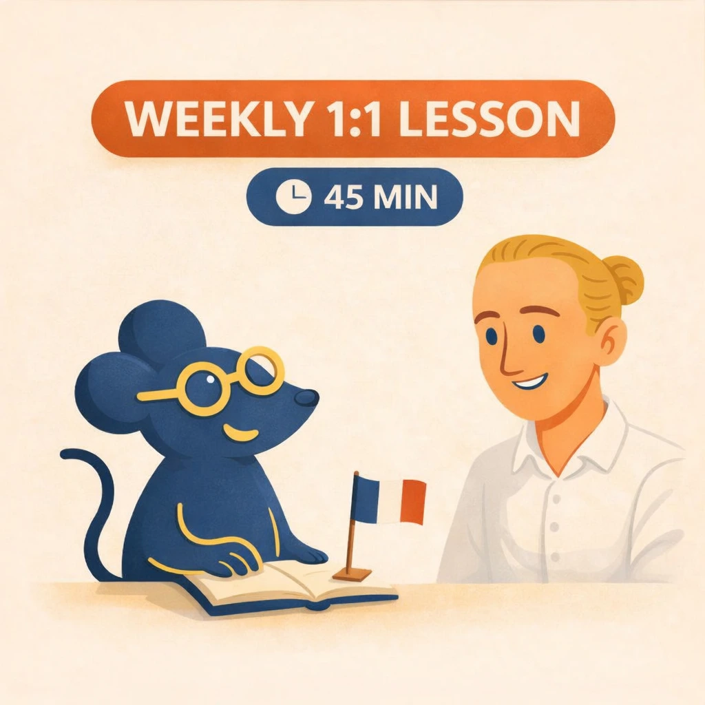 Weekly private French lesson with Roger, 45-minute 1:1 session at €35